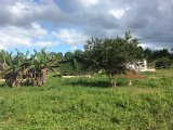 Commercial/farm land For Sale in Shettlewood, Hanover Jamaica | [5]