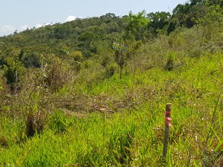 Residential lot For Sale in Kingsland, Manchester Jamaica | [3]
