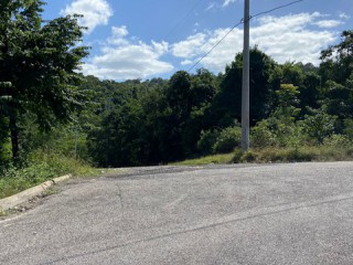 Residential lot For Sale in Duncans, Trelawny Jamaica | [4]