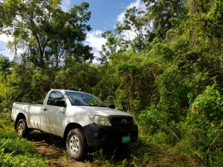 Commercial/farm land For Sale in Carton Estate Off road leading from Claremont to Lime Hall, St. Ann Jamaica | [1]