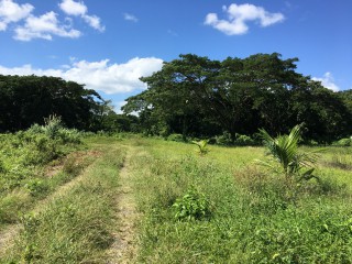 Commercial/farm land For Sale in Bath, St. Thomas Jamaica | [1]