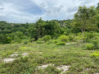Residential lot For Sale in Runaway Bay, St. Ann Jamaica | [9]