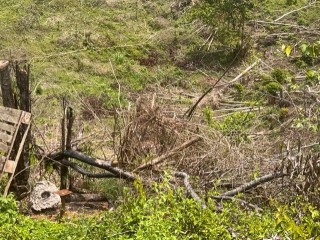 Land For Rent in Claremont, St. Ann Jamaica | [7]