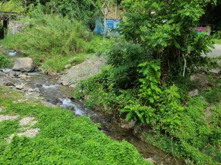 Residential lot For Sale in Cedar Grove, St. Thomas Jamaica | [13]