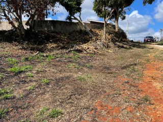 Residential lot For Sale in May Day, Manchester Jamaica | [3]