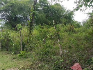 Residential lot For Sale in Priory, St. Ann Jamaica | [2]