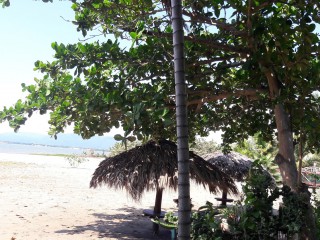 Resort/vacation property For Sale in Black River, St. Elizabeth Jamaica | [6]