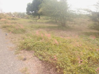 Land For Sale in May Pen, Clarendon Jamaica | [5]