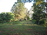 Commercial/farm land For Sale in Golden Spring, Kingston / St. Andrew Jamaica | [1]