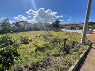 Residential lot For Sale in Cedar Grove, Manchester, Jamaica