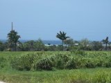 House For Sale in Priory, St. Ann Jamaica | [12]