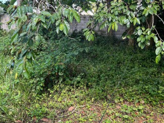 House For Sale in Mandeville, Manchester Jamaica | [2]