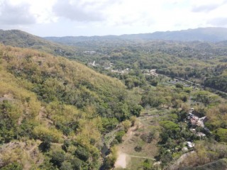 Commercial/farm land For Sale in Brandon Hill, Kingston / St. Andrew, Jamaica