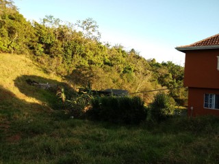 House For Sale in Knockpatrick, Manchester Jamaica | [8]