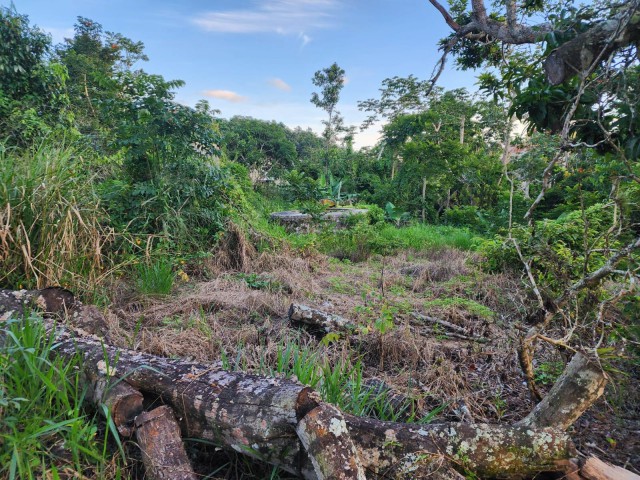 House For Sale in Knockpatrick, Manchester Jamaica | [4]