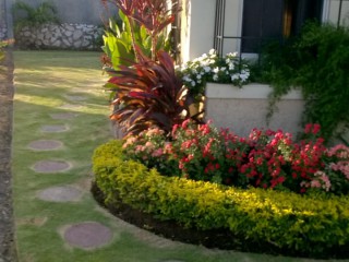 House For Rent in Bayfront Villas Port Henderson, St. Catherine Jamaica | [5]
