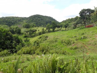 Residential lot For Sale in Lumsden, St. Ann Jamaica | [5]