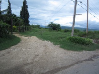 Residential lot For Sale in Rhymesbury, Clarendon Jamaica | [4]