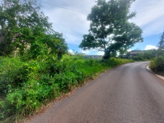 Land For Sale in Spur Tree Mandeville, Manchester Jamaica | [1]