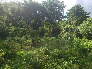 Land For Sale in Frankfield, Clarendon, Jamaica