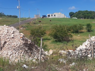 Residential lot For Sale in Newport, Manchester Jamaica | [2]