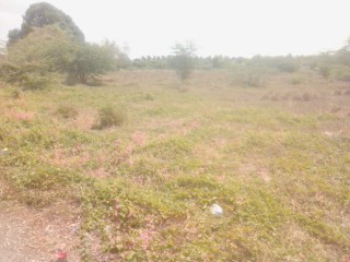 Land For Sale in May Pen, Clarendon Jamaica | [2]
