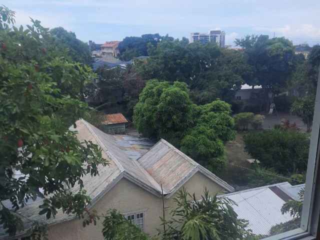 Commercial building For Rent in Lady Musgrave Road, Kingston / St. Andrew Jamaica | [8]