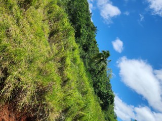 Residential lot For Sale – Linstead, St. Catherine, Jamaica
