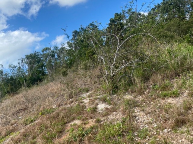 Land For Sale in Bellevue district, St. Elizabeth Jamaica | [2]