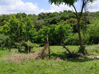 Land For Sale in Seaford Town, Westmoreland, Jamaica