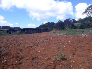 Residential lot For Sale in Christiana, Manchester, Jamaica