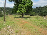 Commercial/farm land For Sale in Hatfield, Manchester Jamaica | [8]