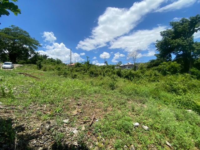 Residential lot For Sale in Santa Cruz, St. Elizabeth Jamaica | [4]