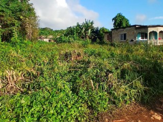 Residential lot For Sale - Duncans, Trelawny, Jamaica