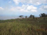 Residential lot For Sale in Malvern, St. Elizabeth Jamaica | [1]