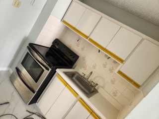Apartment For Rent in New Kingston, Kingston / St. Andrew Jamaica | [8]