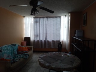 Apartment For Rent in New Kingston, Kingston / St. Andrew Jamaica | [1]
