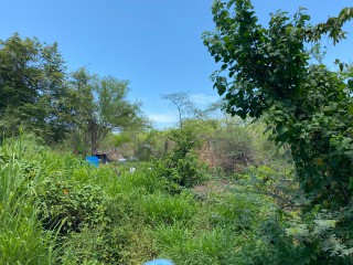 Residential lot For Sale in Bushy Park, St. Catherine, Jamaica