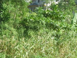 Residential lot For Sale in Tripoli, St. Ann Jamaica | [3]