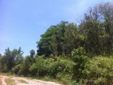 Commercial/farm land For Sale in Bamboo, St. Ann Jamaica | [3]
