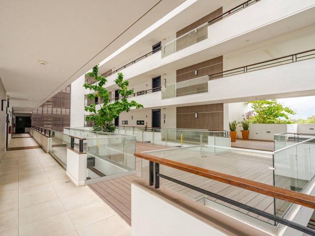 Apartment For Rent in New Kingston, Kingston / St. Andrew Jamaica | [7]