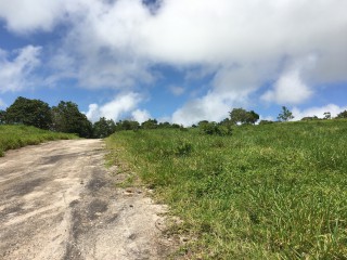 Residential lot For Sale in Chippenham Park Bamboo, St. Ann Jamaica | [13]
