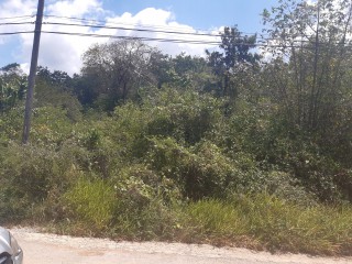 Residential lot For Sale in Duncans, Trelawny Jamaica | [3]