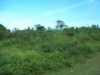 Commercial land For Sale in Salem, St. Ann Jamaica | [2]