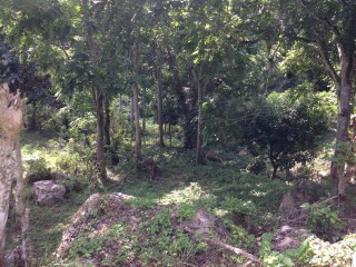 Residential lot For Sale in Stony Hill, Kingston / St. Andrew Jamaica | [1]