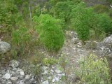 Residential lot For Sale in Plantation Heights, Kingston / St. Andrew Jamaica | [3]