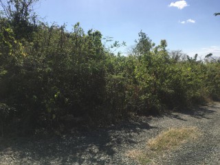 Residential lot For Sale in Yallahs, St. Thomas Jamaica | [3]