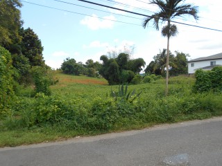 Land For Sale in Mandeville, Manchester, Jamaica