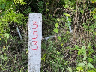 Land For Sale in Lacovia, St. Elizabeth Jamaica | [5]