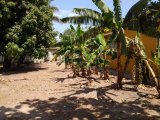 House For Rent in Patrick City, Kingston / St. Andrew Jamaica | [1]